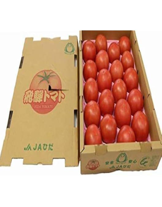 amama♡即日発送♡ 赤 Lサイズ Amazon | トミカ No.24 マツダ CX-5 (BP) | ミニカー・ダイキャスト